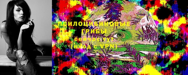 каннабис Алзамай