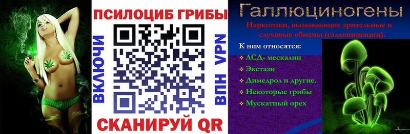 Псилоцибиновые грибы мицелий  Миллерово 